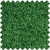 Grass Turf