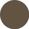 Cappuccino PMS 2321U