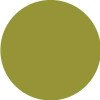 Kiwi PMS 398U