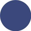 Royal Blue PMS 288U