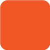 Neon Orange