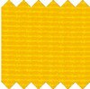 Daffodil